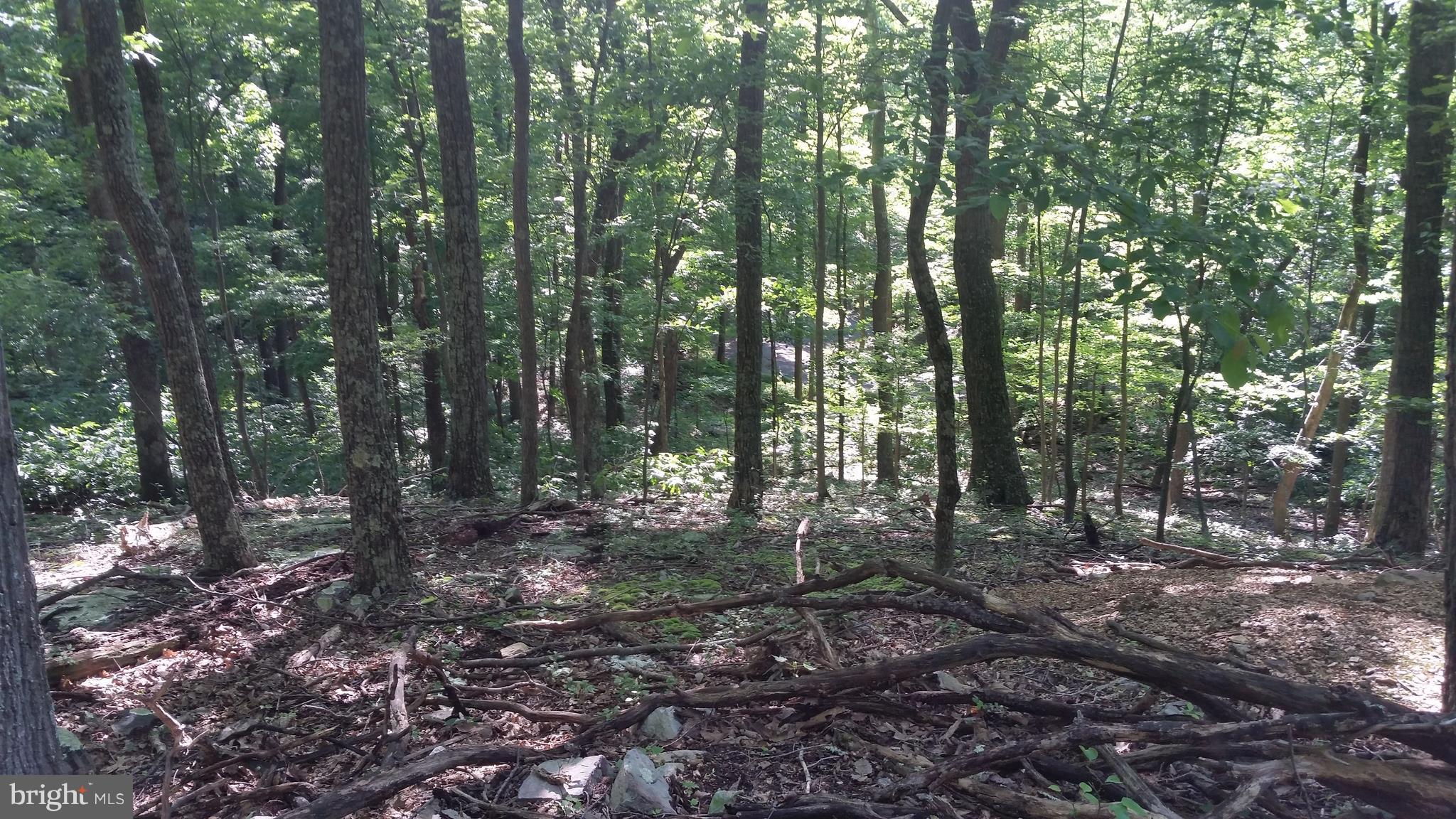 ROUSE MOUNTAIN - Land