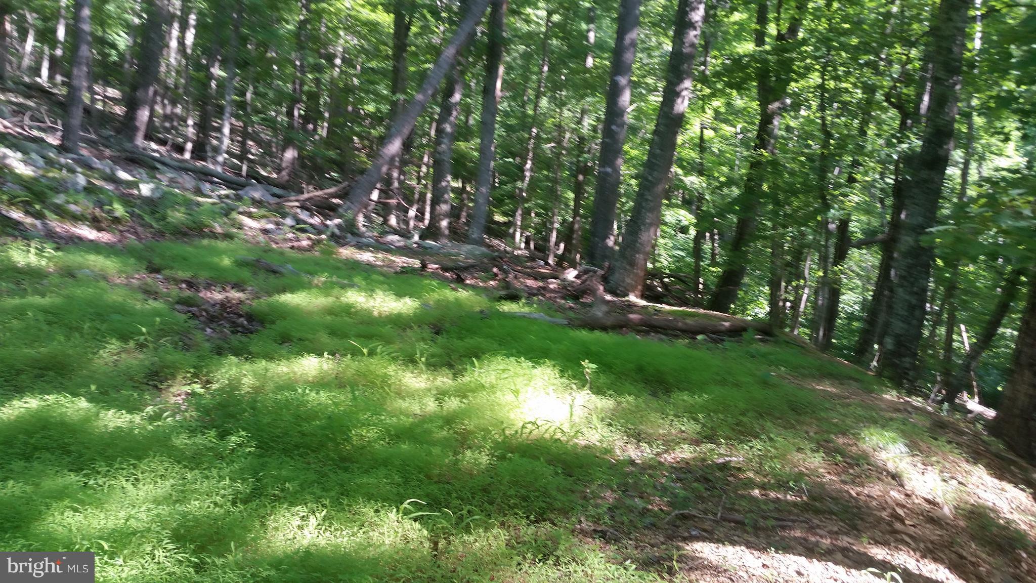 ROUSE MOUNTAIN - Land