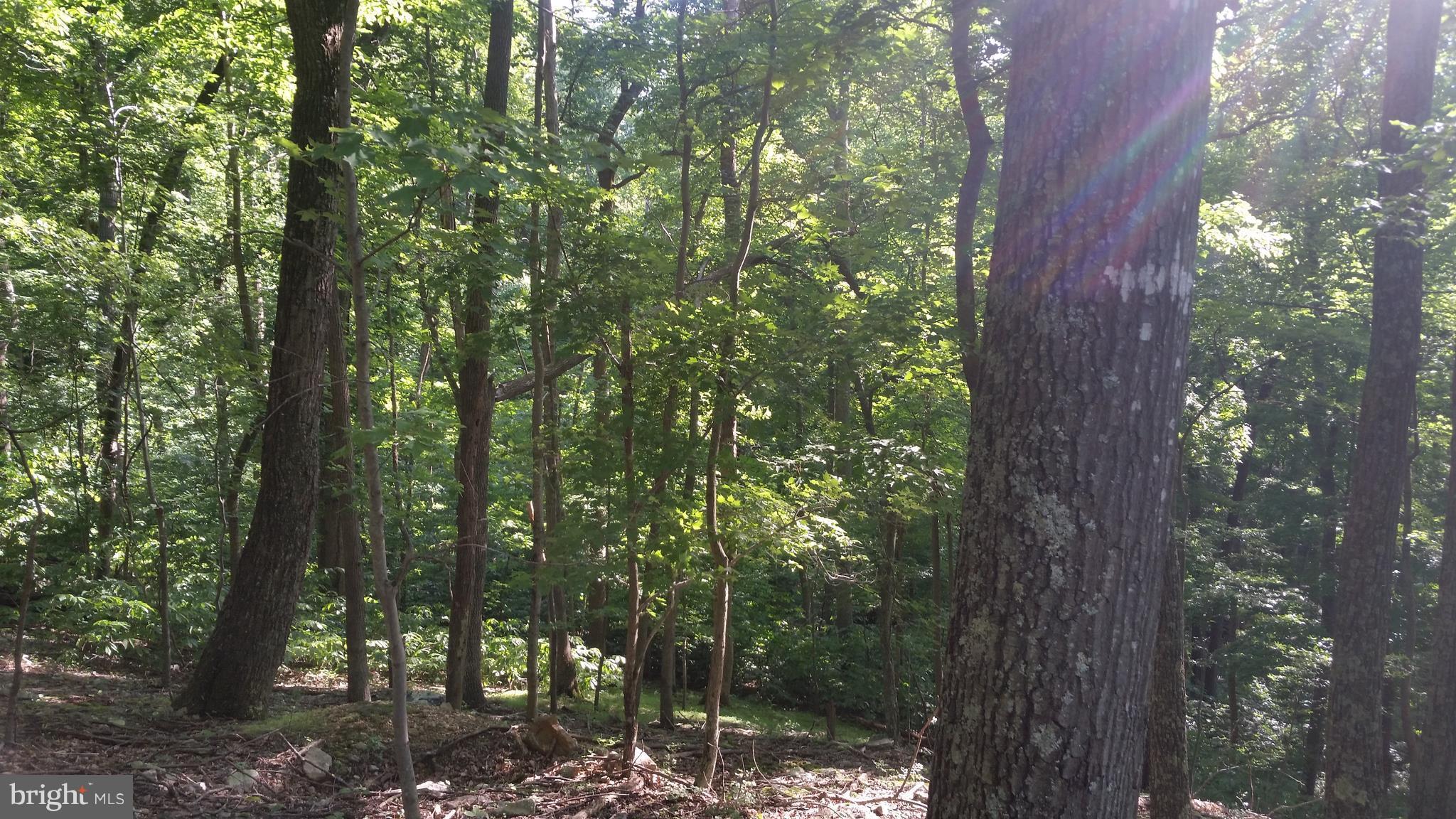 ROUSE MOUNTAIN - Land