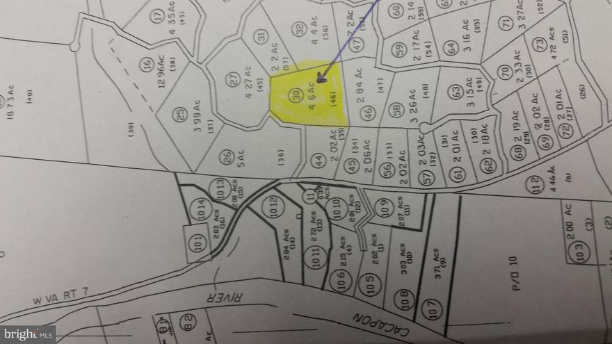 Wooded 4.60 acre lot with Cacapon River access, driveway in place, electric near by and located at the base of the mountain for easy access. Seasonal views from build site. A great value for your piece of Wild Wonderful West Virginia. Call Today!