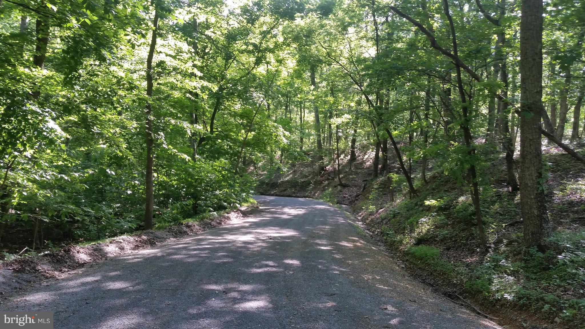 ROUSE MOUNTAIN - Land