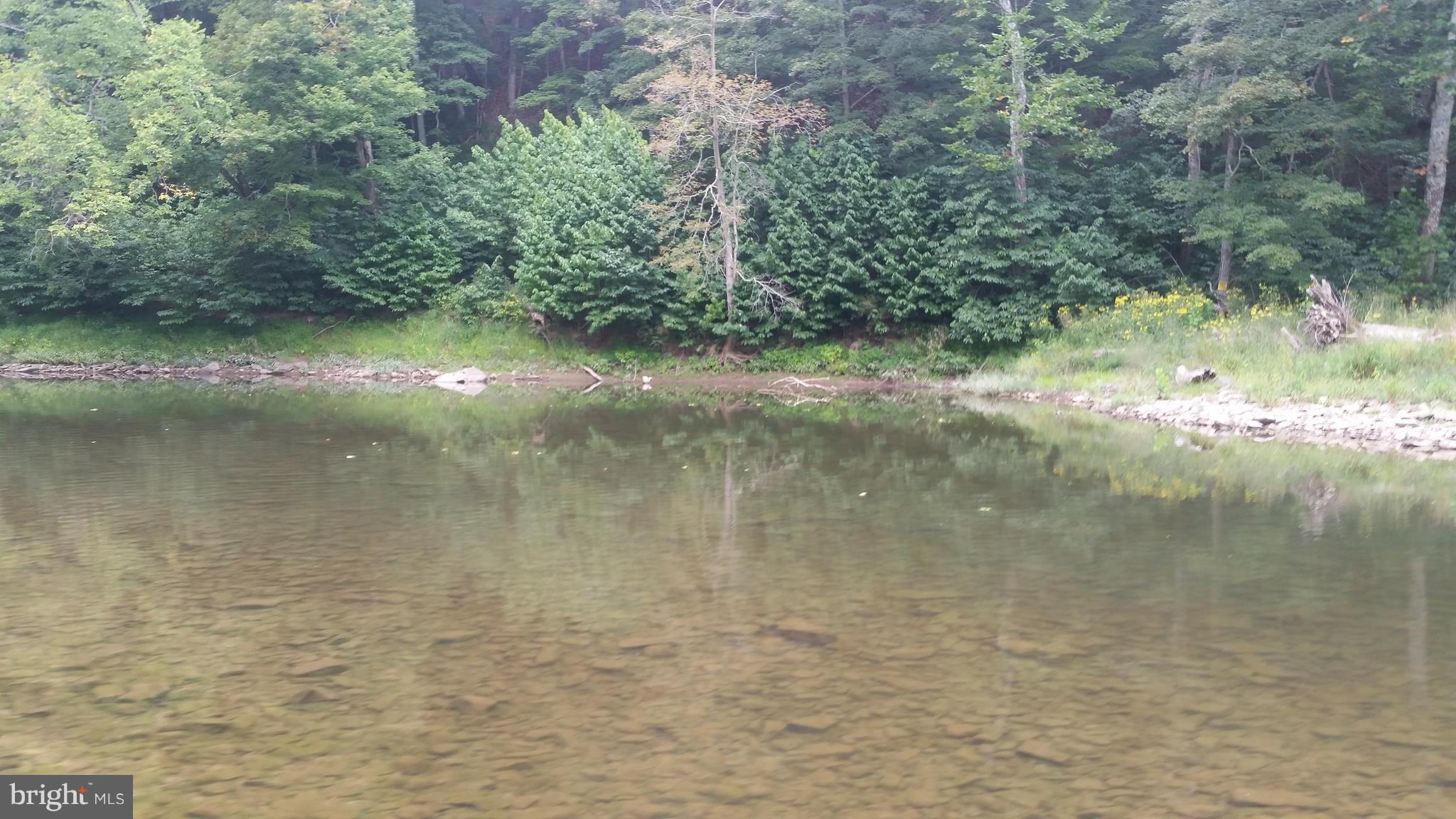 ROUSE MOUNTAIN - Land