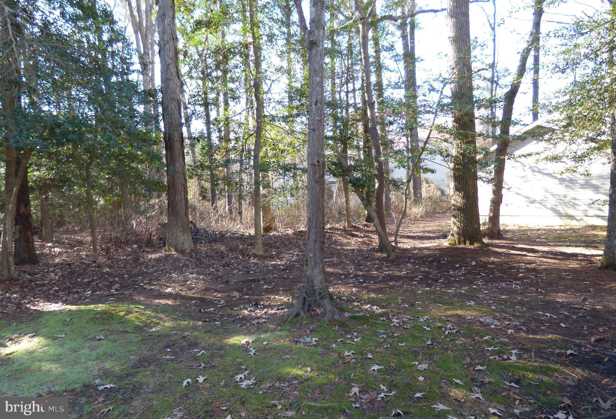 OCEAN PINES - SHERWOOD FOREST - Residential