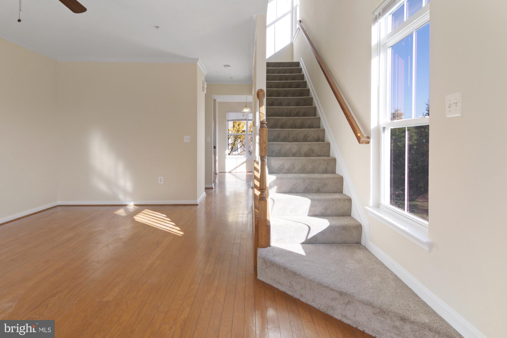 TOWN CENTER AT CAMP SPRINGS - Residential