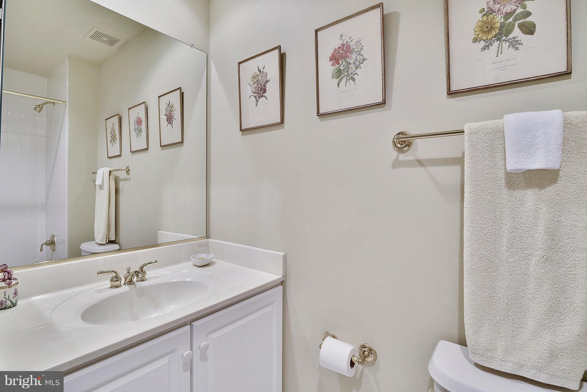 OLD TOWN VILLAGE - Residential