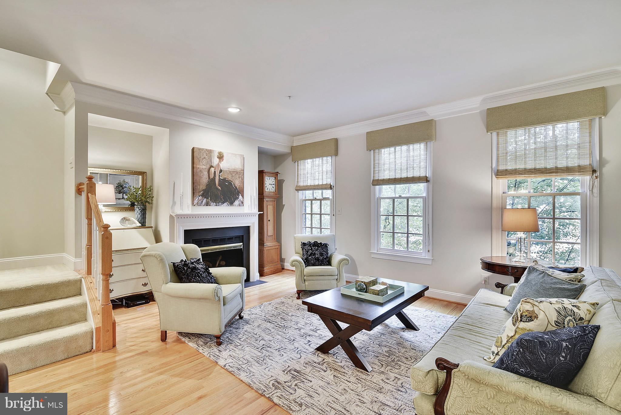 OLD TOWN VILLAGE - Residential