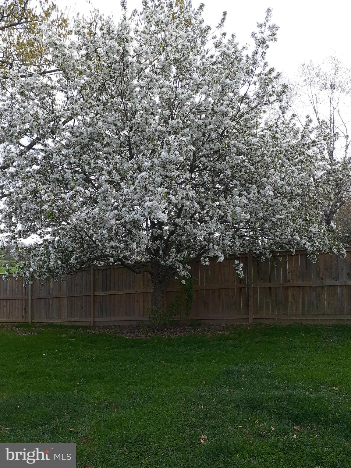 GREENRIDGE ACRES - Residential