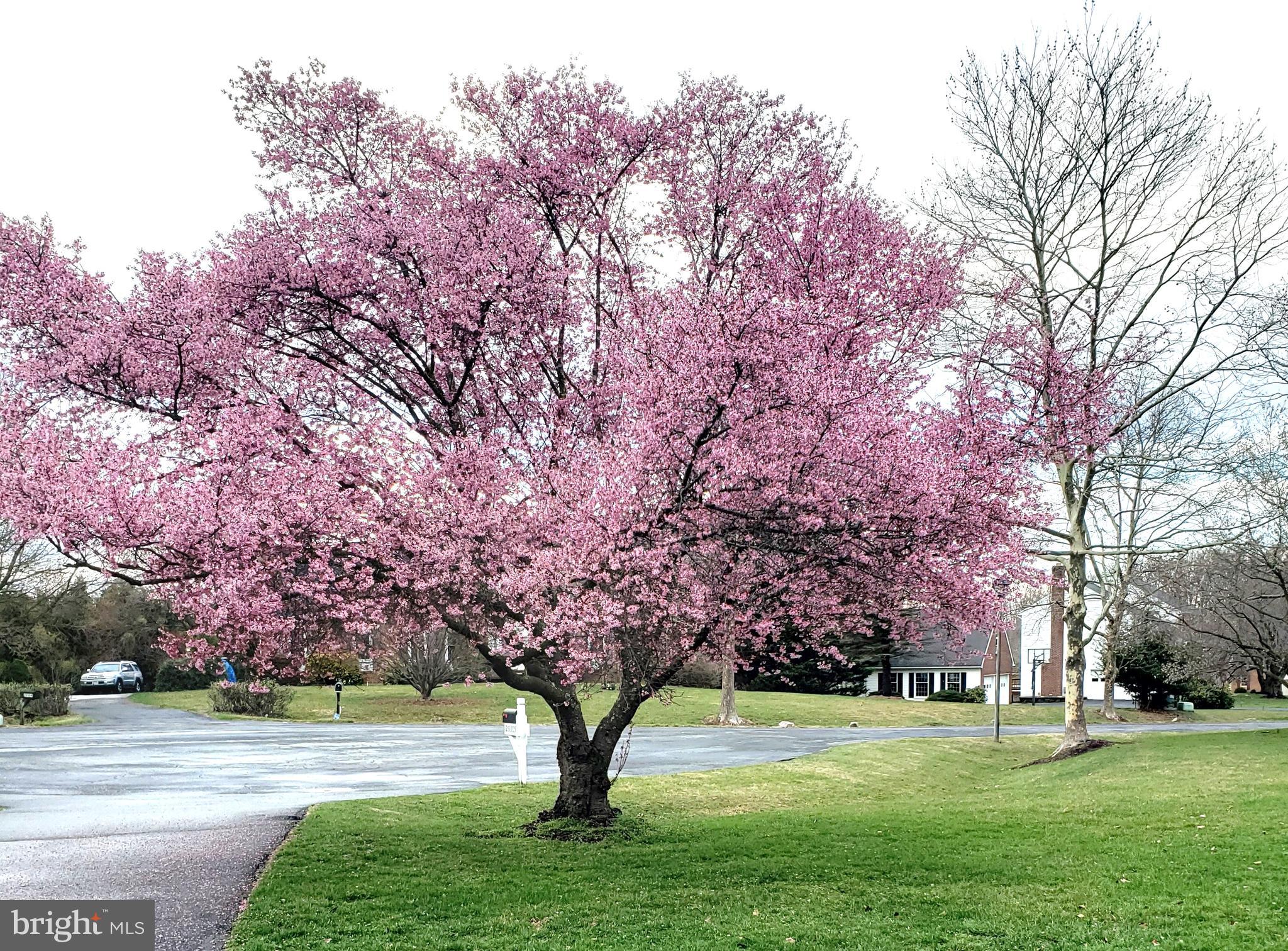 GREENRIDGE ACRES - Residential