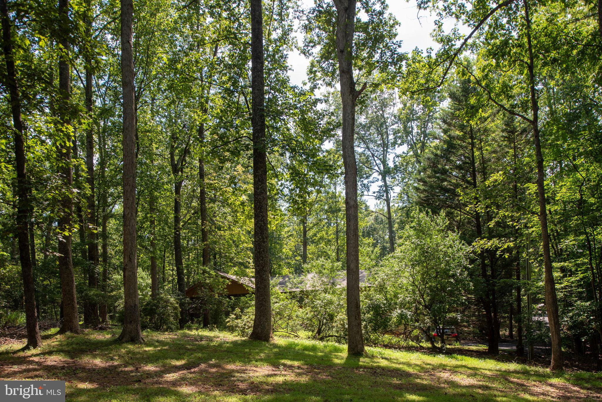 LAKE OF THE WOODS - Residential