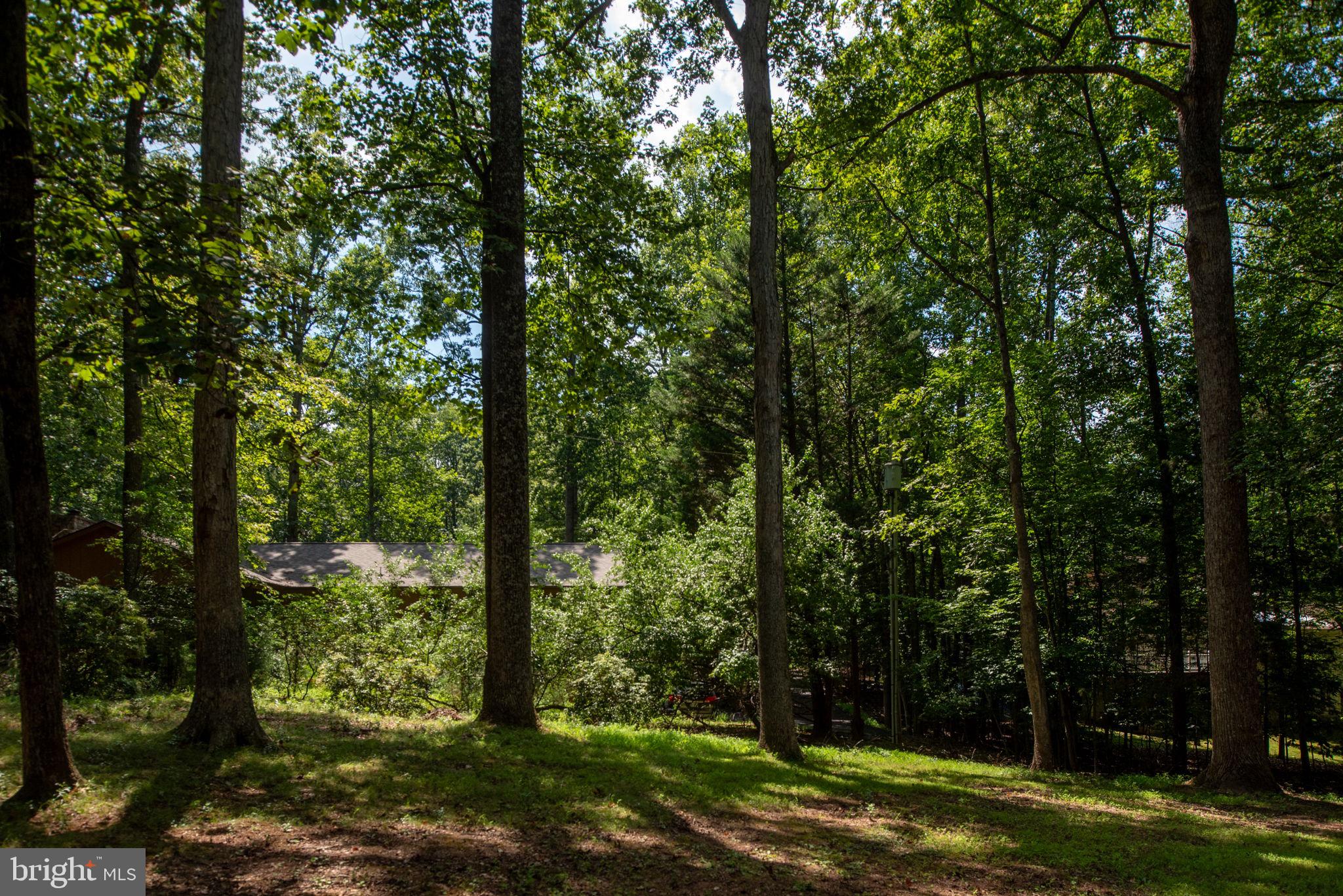 LAKE OF THE WOODS - Residential