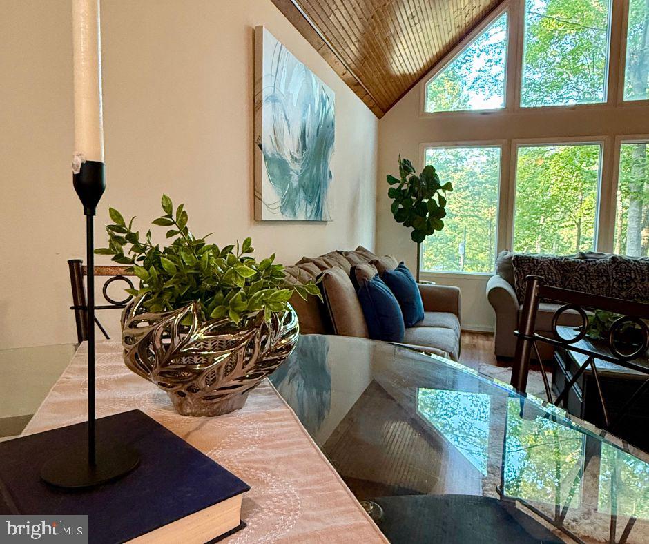 LAKE OF THE WOODS - Residential