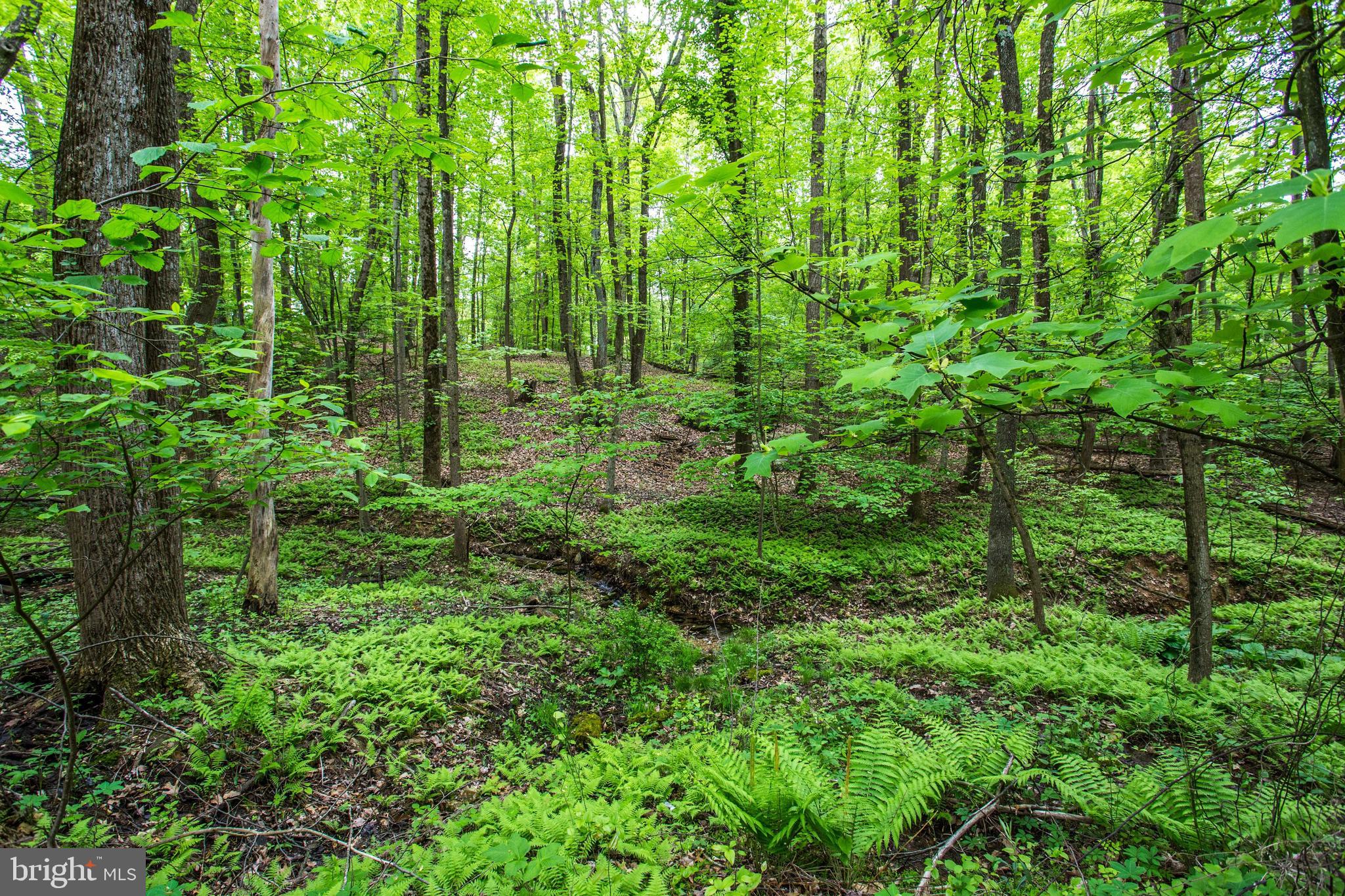 HUNGERFORD MANOR - Residential