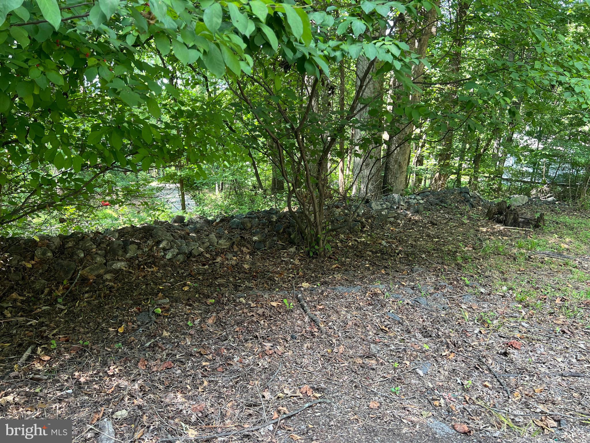 SHANNONDALE - Residential