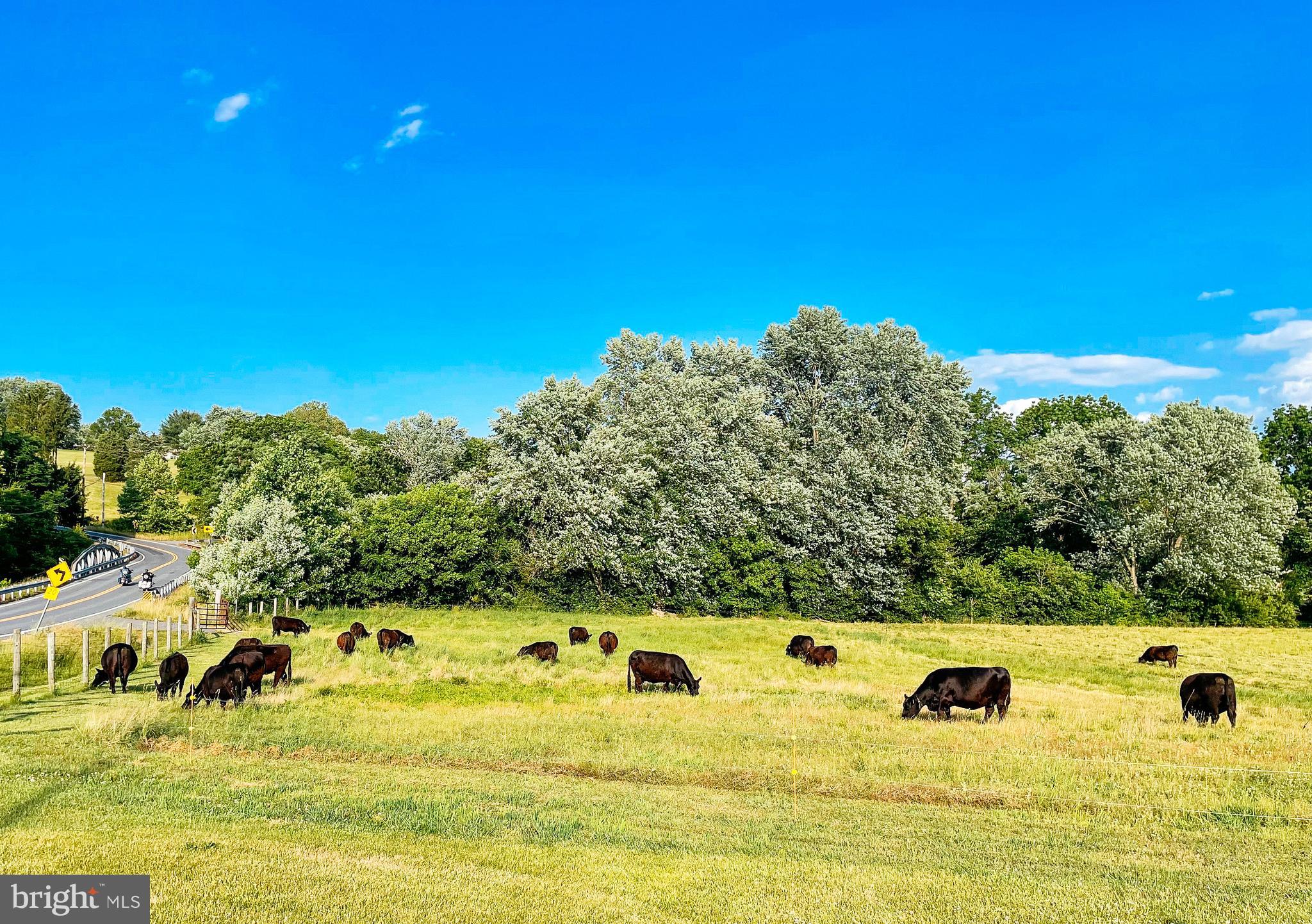MIDDLETOWN - Residential
