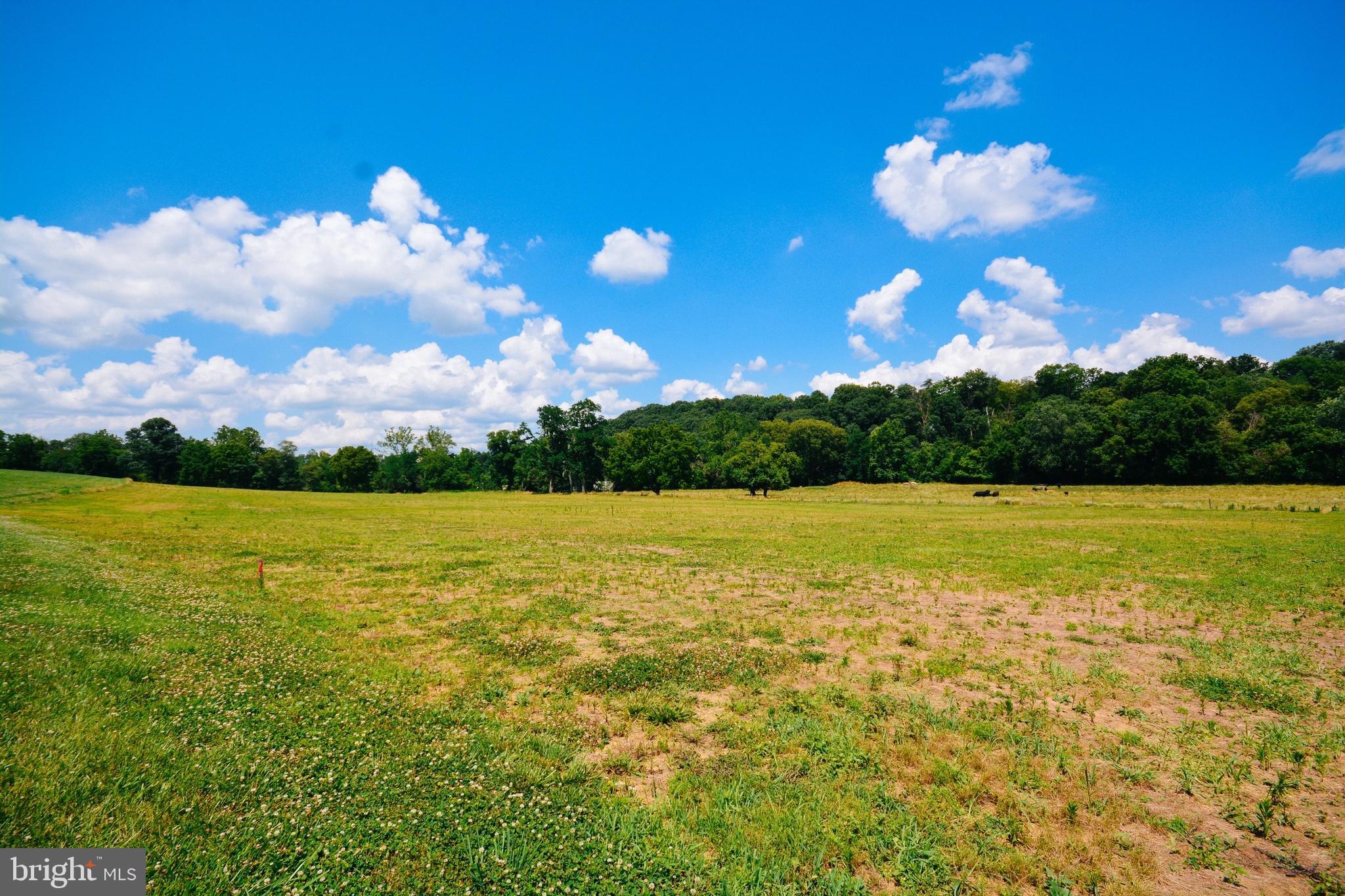 MIDDLETOWN - Residential