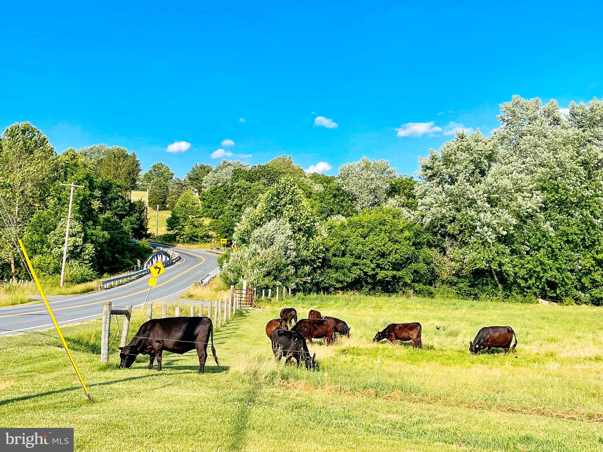 MIDDLETOWN - Residential