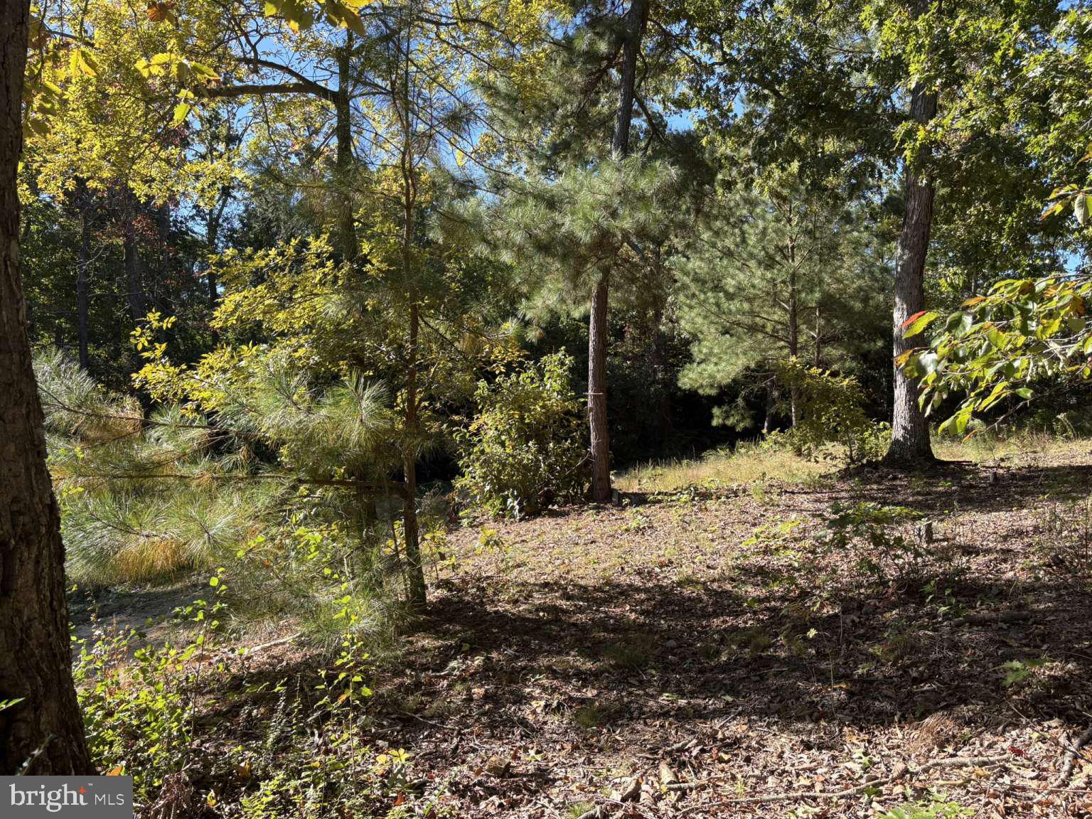 EVERGREEN PARK - Residential