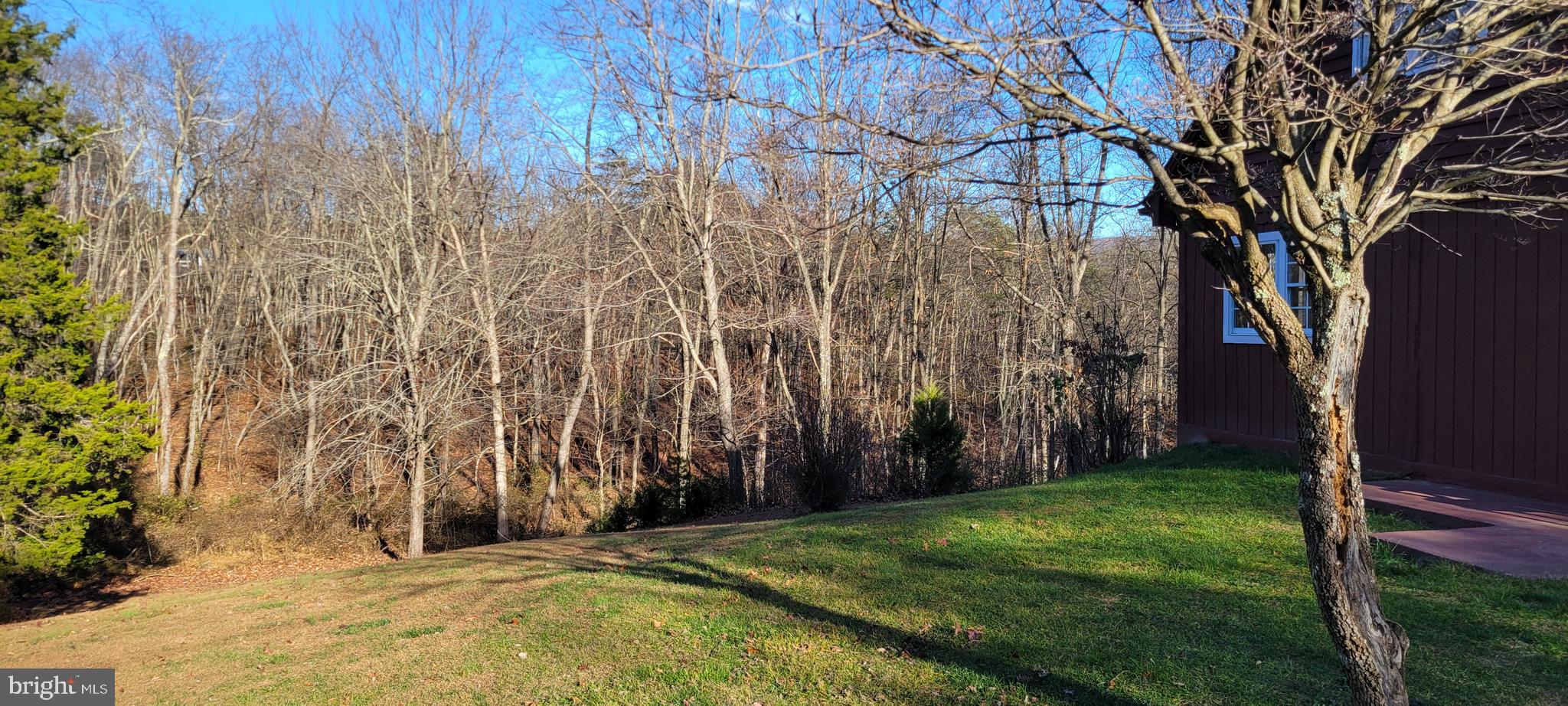 PINE CONE - Residential