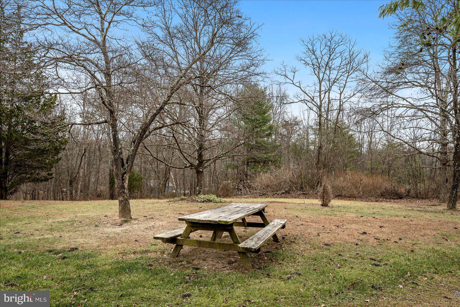 PINE CONE - Residential