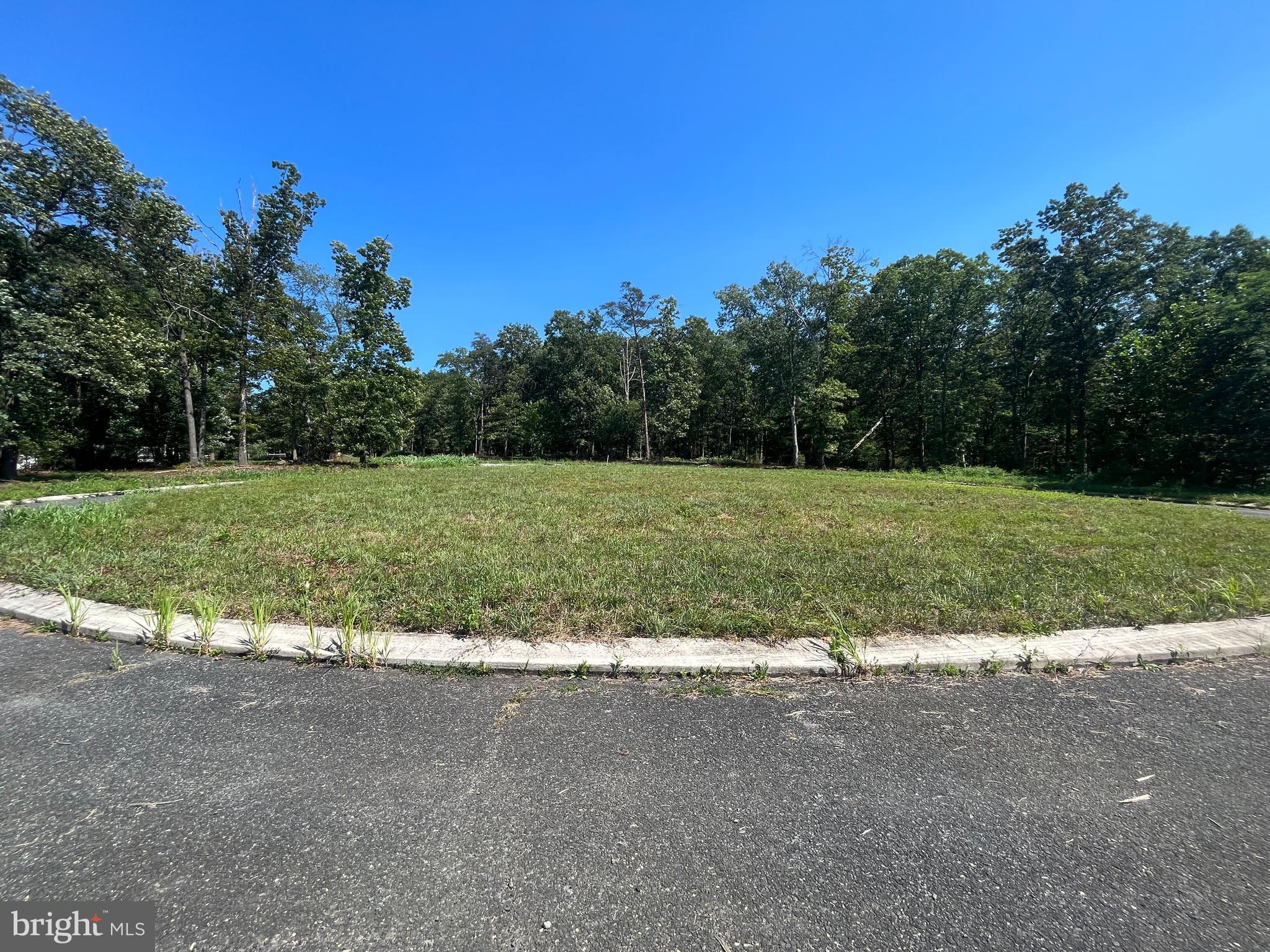 GREENWOOD FOREST - Land