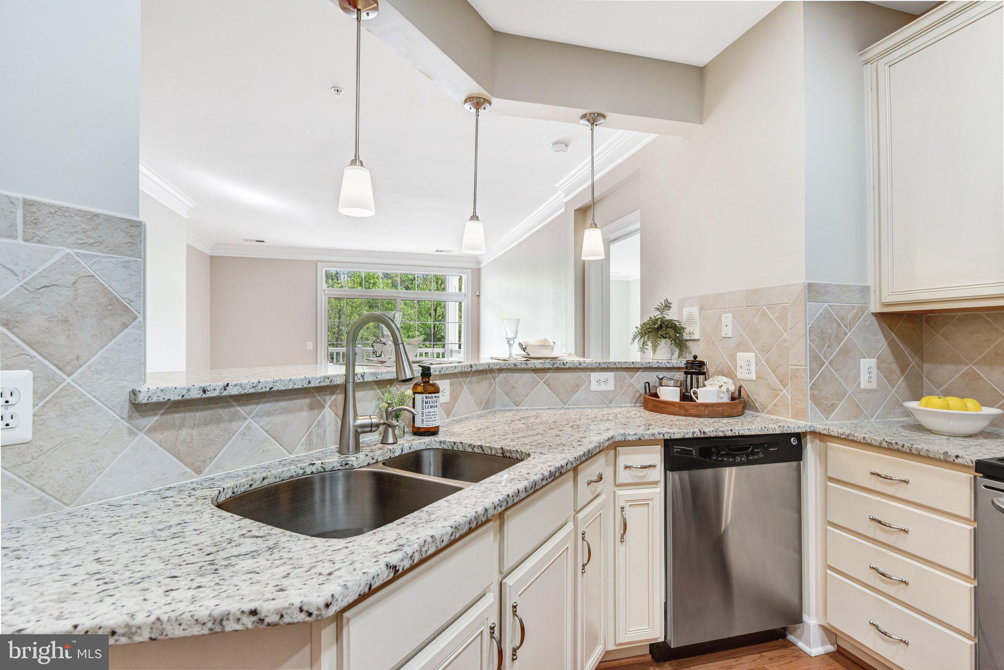 REGENCY AT DOMINION VALLEY - Residential