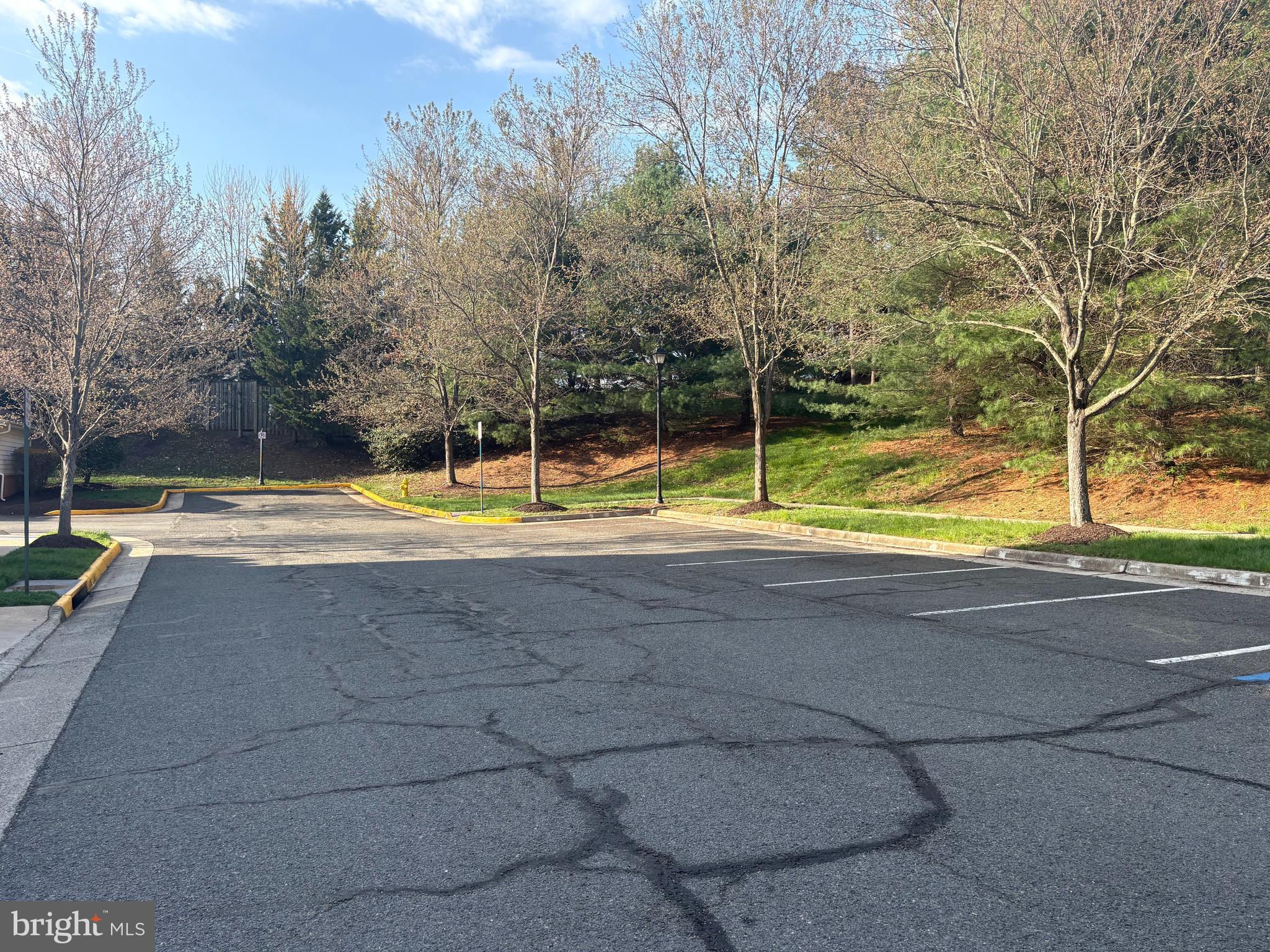 REGENCY AT DOMINION VALLEY - Residential