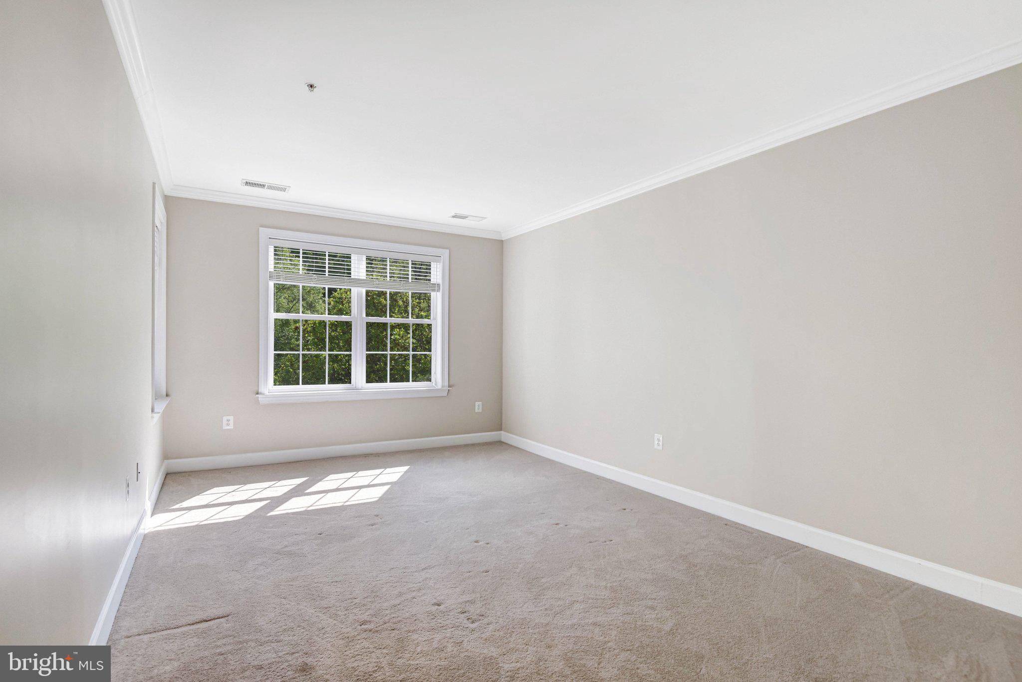 REGENCY AT DOMINION VALLEY - Residential