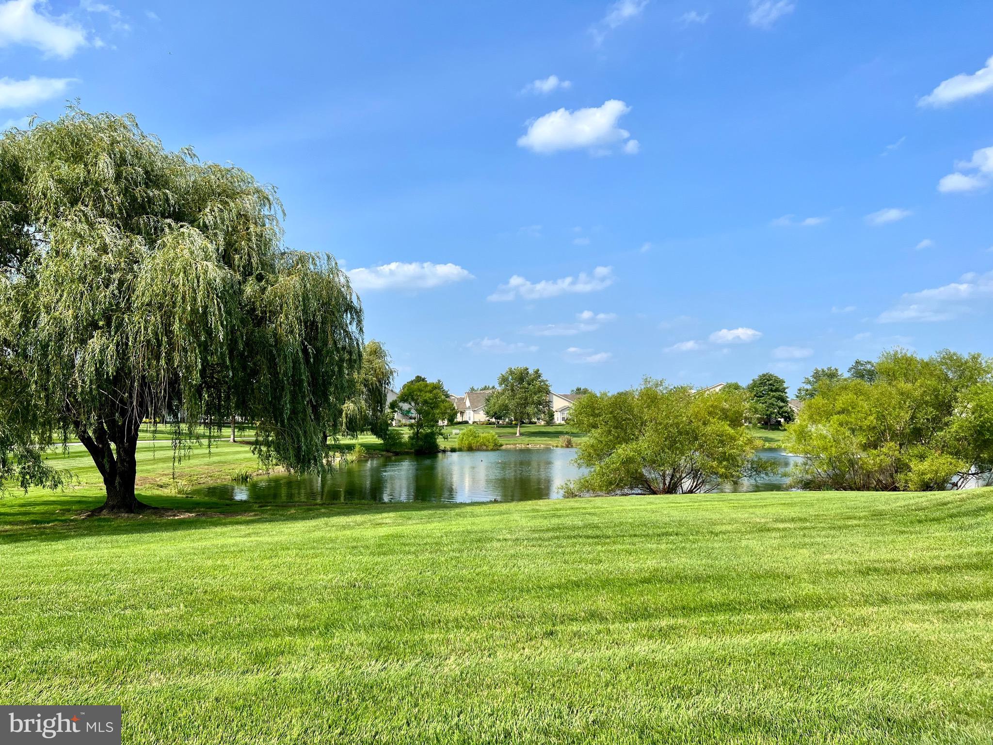 VILLAS AT SHADYBRO - Residential