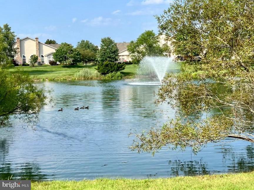 VILLAS AT SHADYBRO - Residential