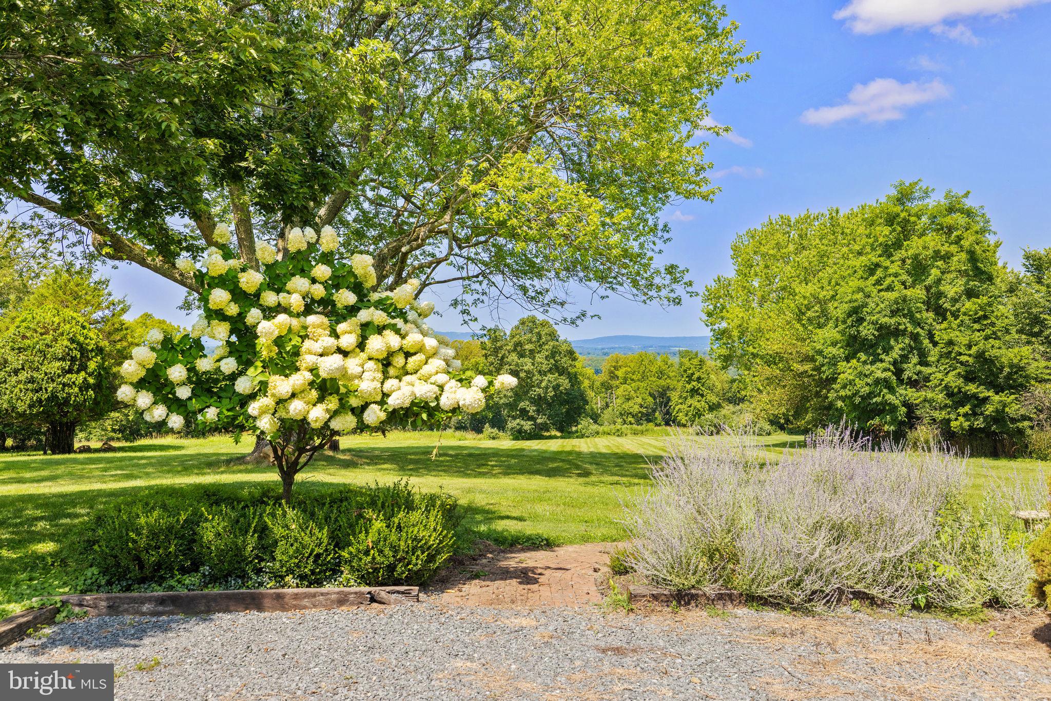 38684 MOUNT GILEAD ROAD