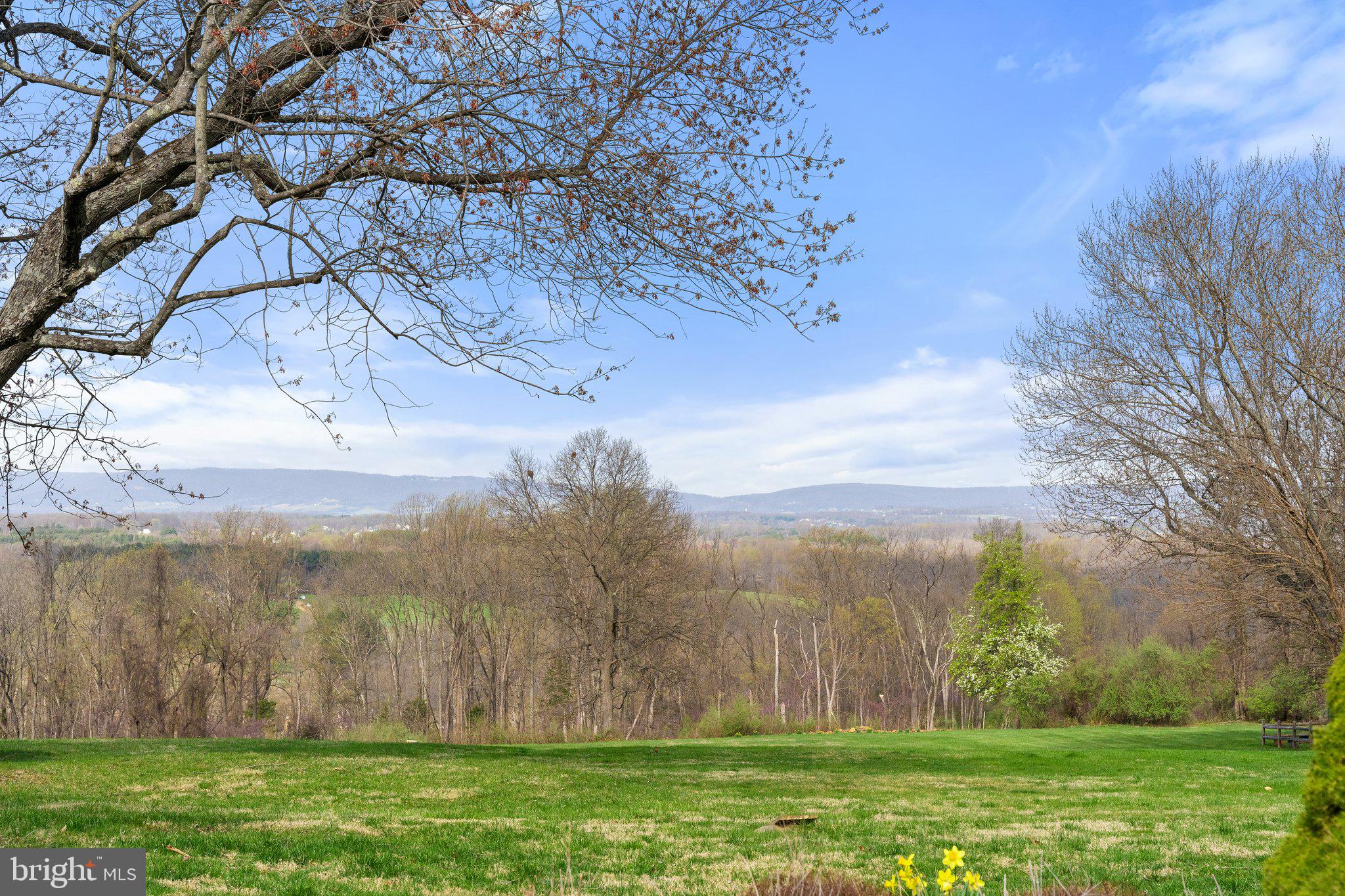 38684 MOUNT GILEAD ROAD