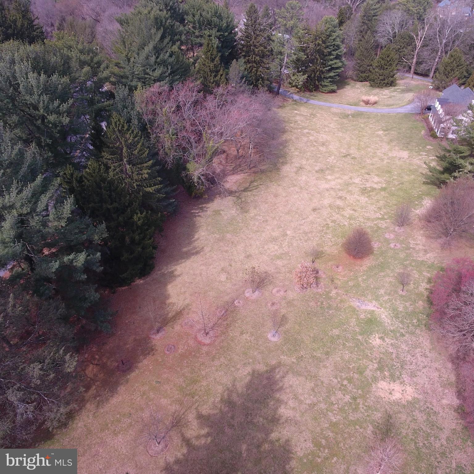Desirable 1.38 acre lot in Baltimore County. Close proximity to Lake Roland, Towson, fine dining and shopping. Mostly open with mature trees. Large building envelop with gentle slope to allow for walkout. Public water, sewer (In service Area but septic may be required) and natural gas available. County will permit Hollins Ave. access and address with building permit application. Bring your own builder (No tie-in). Buyer to verify all information and permitting process.