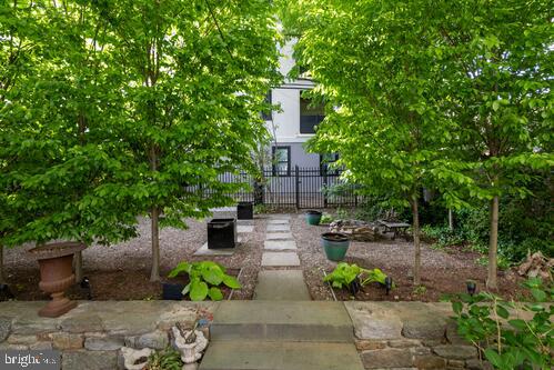 CHESTNUT HILL - Residential