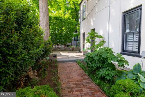 CHESTNUT HILL - Residential