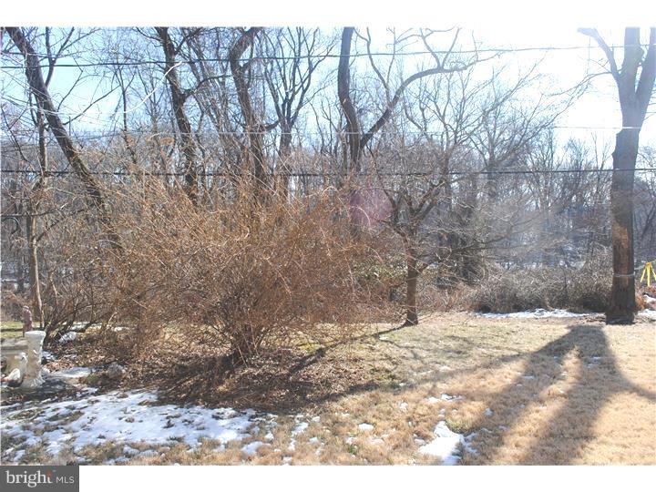 WINCHESTER PARK - Residential