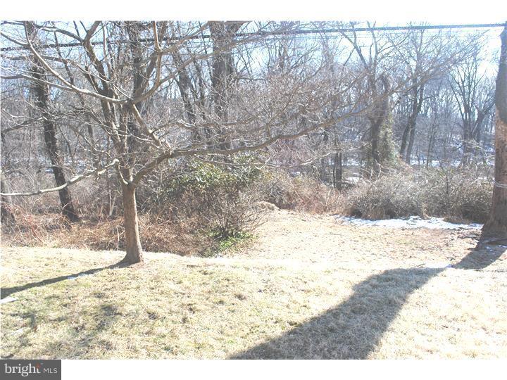 WINCHESTER PARK - Residential