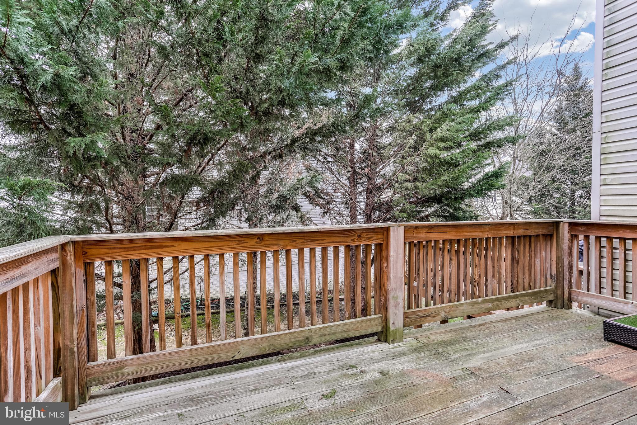 BLACKBURN VILLAGE - Residential