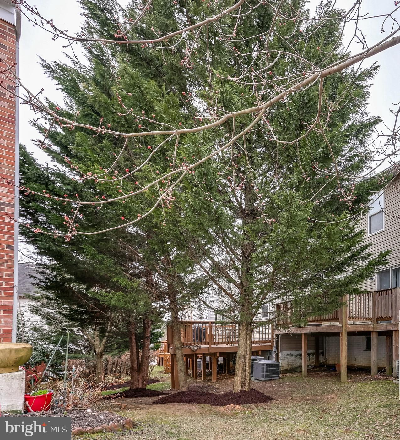 BLACKBURN VILLAGE - Residential