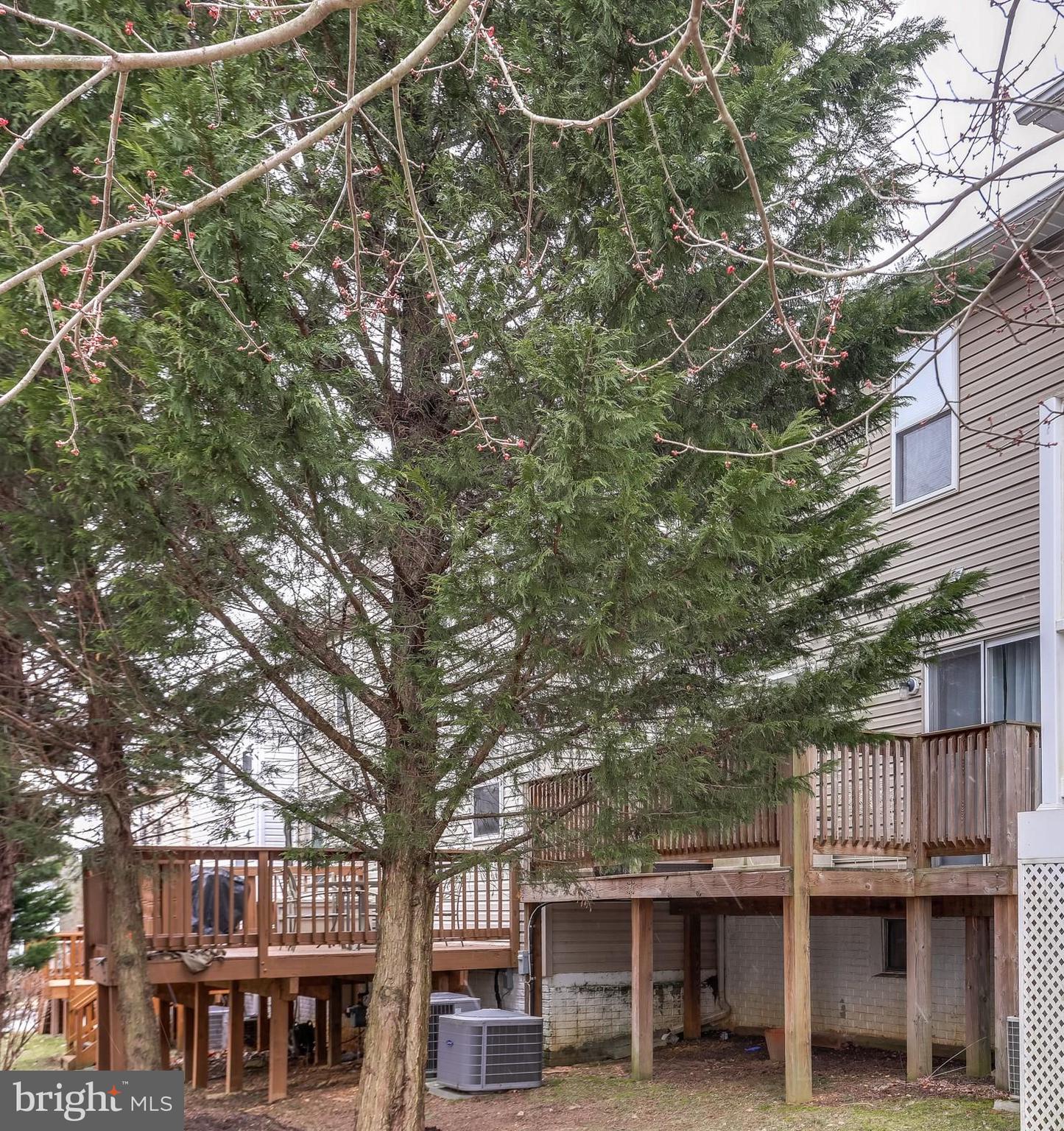 BLACKBURN VILLAGE - Residential