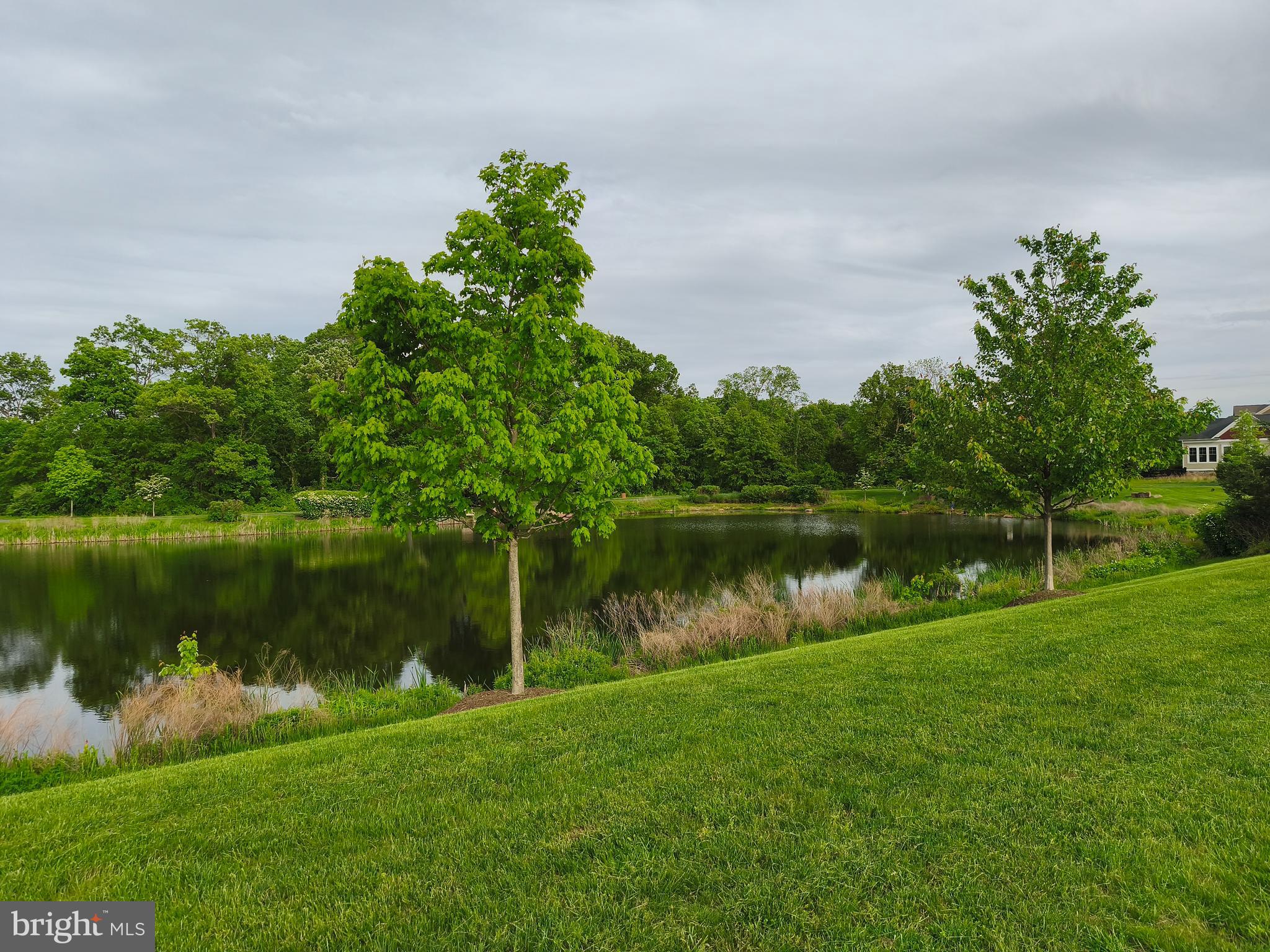 WILLOWSFORD - THE GREENS - Residential Lease