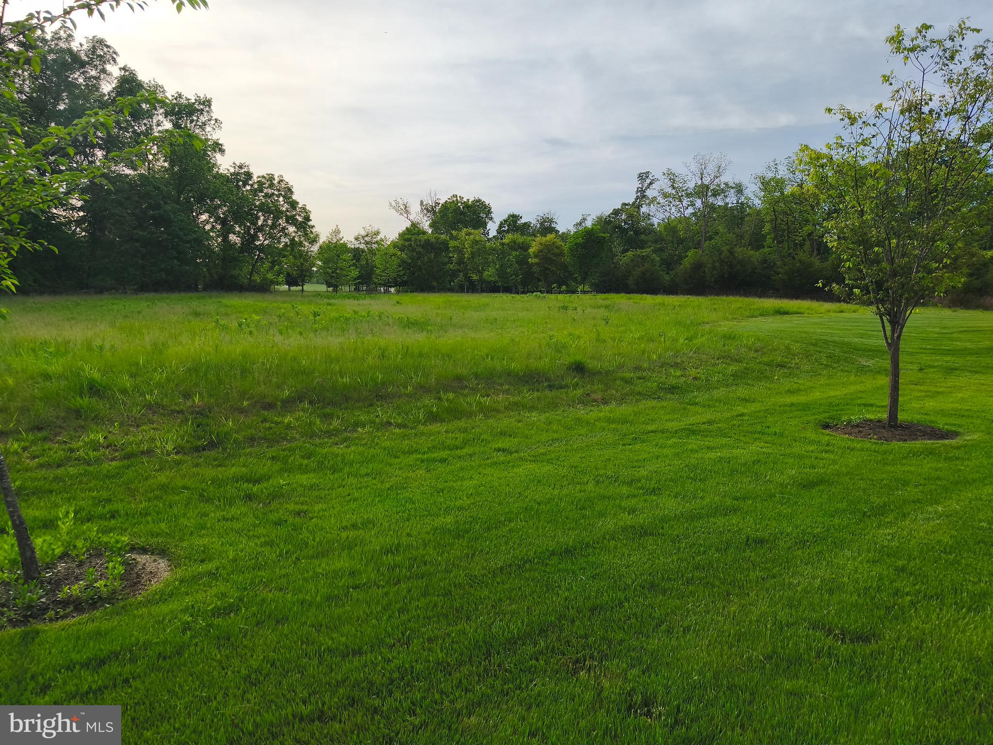 WILLOWSFORD - THE GREENS - Residential Lease