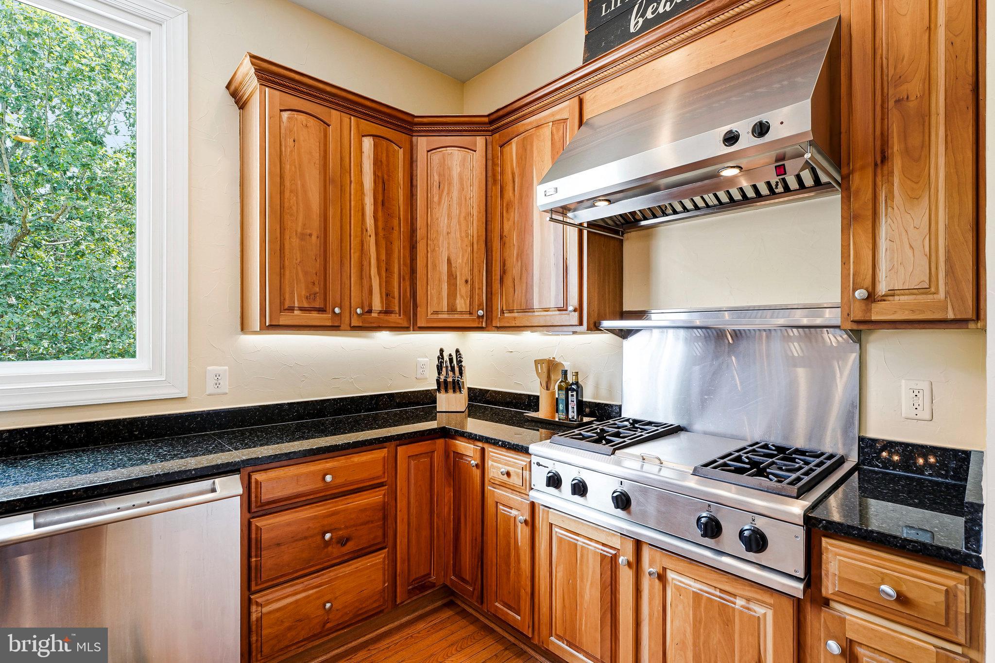 LANSDOWNE ON THE POTOMAC - Residential