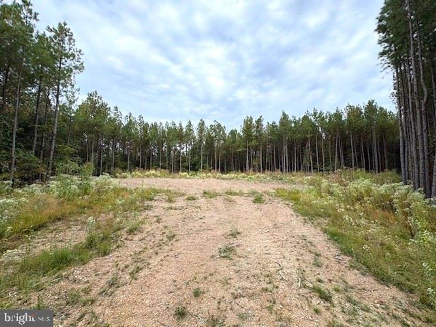 Your Rules. Your Ridge. Your Piece of West Virginia. Not here to follow someone else's rules? Good—this 26.89-acre tract near Delray, West Virginia, gives you the kind of land that doesn’t come with fine print. No HOA. No covenants. No hassle. Just big views, clean access, and the kind of raw, usable ground that’s getting harder to find every year. Less than an hour to Winchester, Virginia. Under two hours to Washington, D.C. Close enough for convenience, but far enough to be left alone. The roads are in, graveled and solid. A build site has already been cleared. Approved perk site? On file. And the mountain views? Flat-out stunning—almost 360 degrees of ridge-and-valley beauty. Hunt it. Build on it. Camp on it. Ride ATVs, run dogs, cut trails. Do what you want, when you want—because this land is unrestricted, and that means the freedom to live how you see fit. Perfect for a full-time residence, weekend retreat, or long-term investment. If you’ve been waiting for a place to unplug, stretch out, and build something real—this is your shot. Come walk it before someone else locks it up.