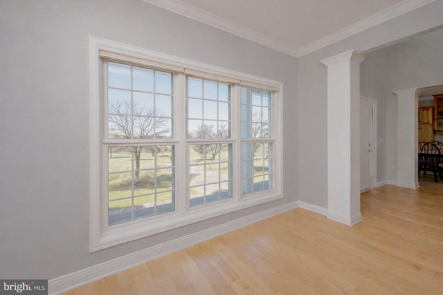 MEADOW LAKE ESTATES - Residential