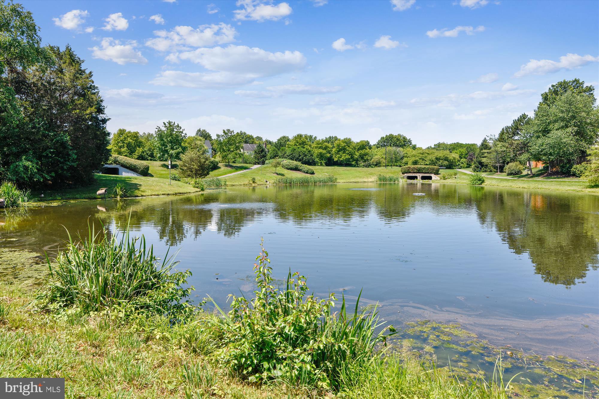 ASHBURN FARM - Residential