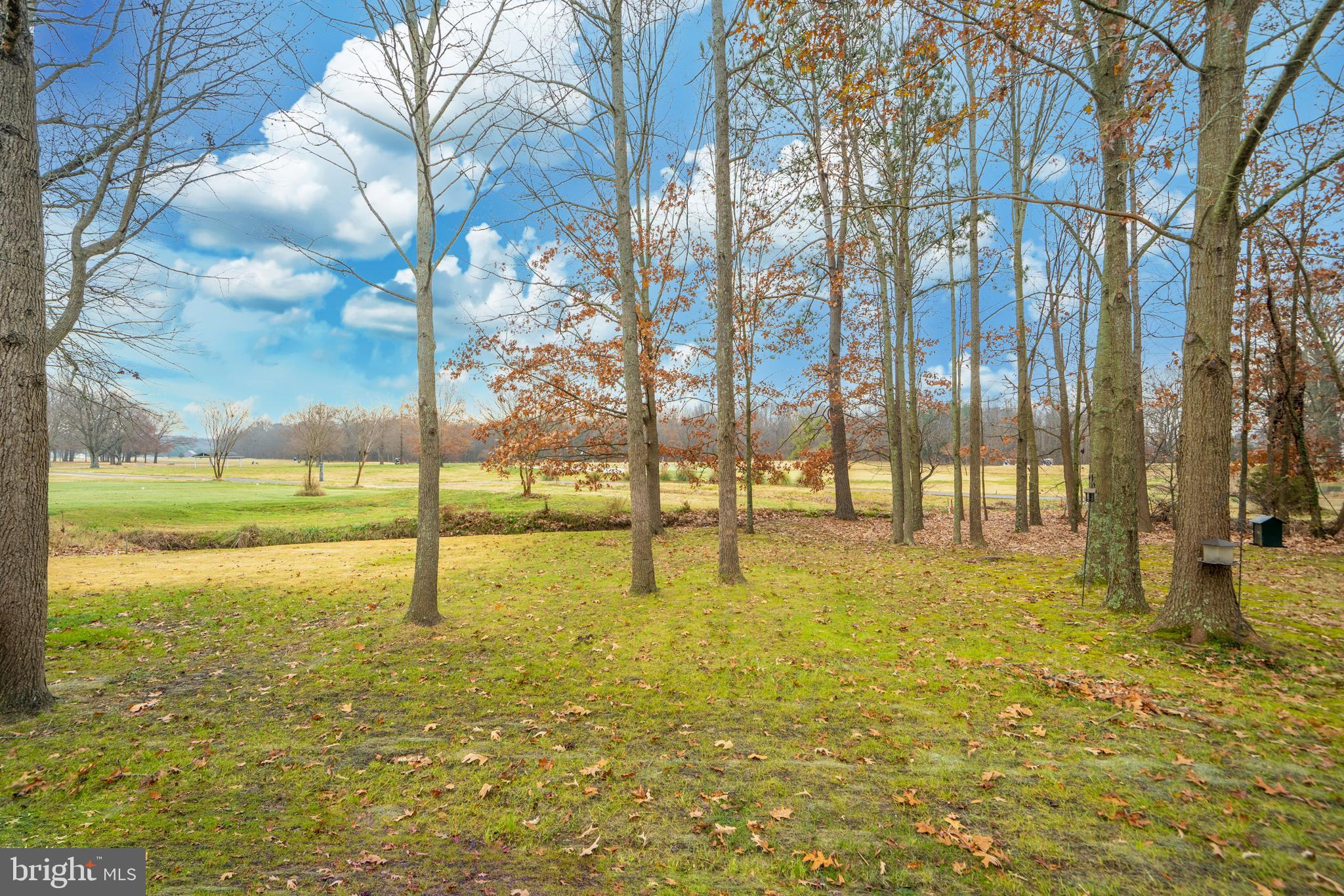 WICOMICO SHORES - Residential