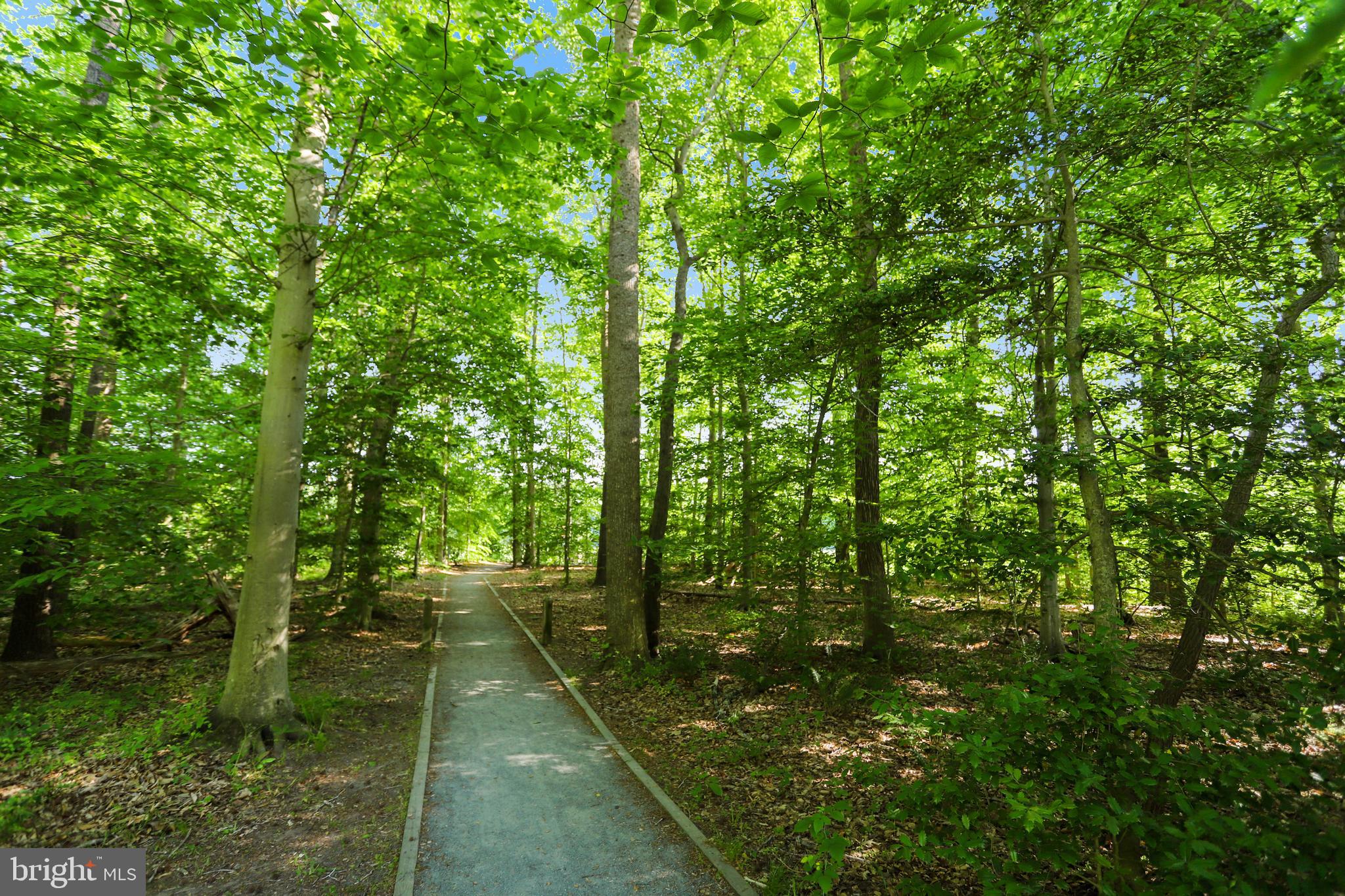 BROOKE RIDGE - Residential