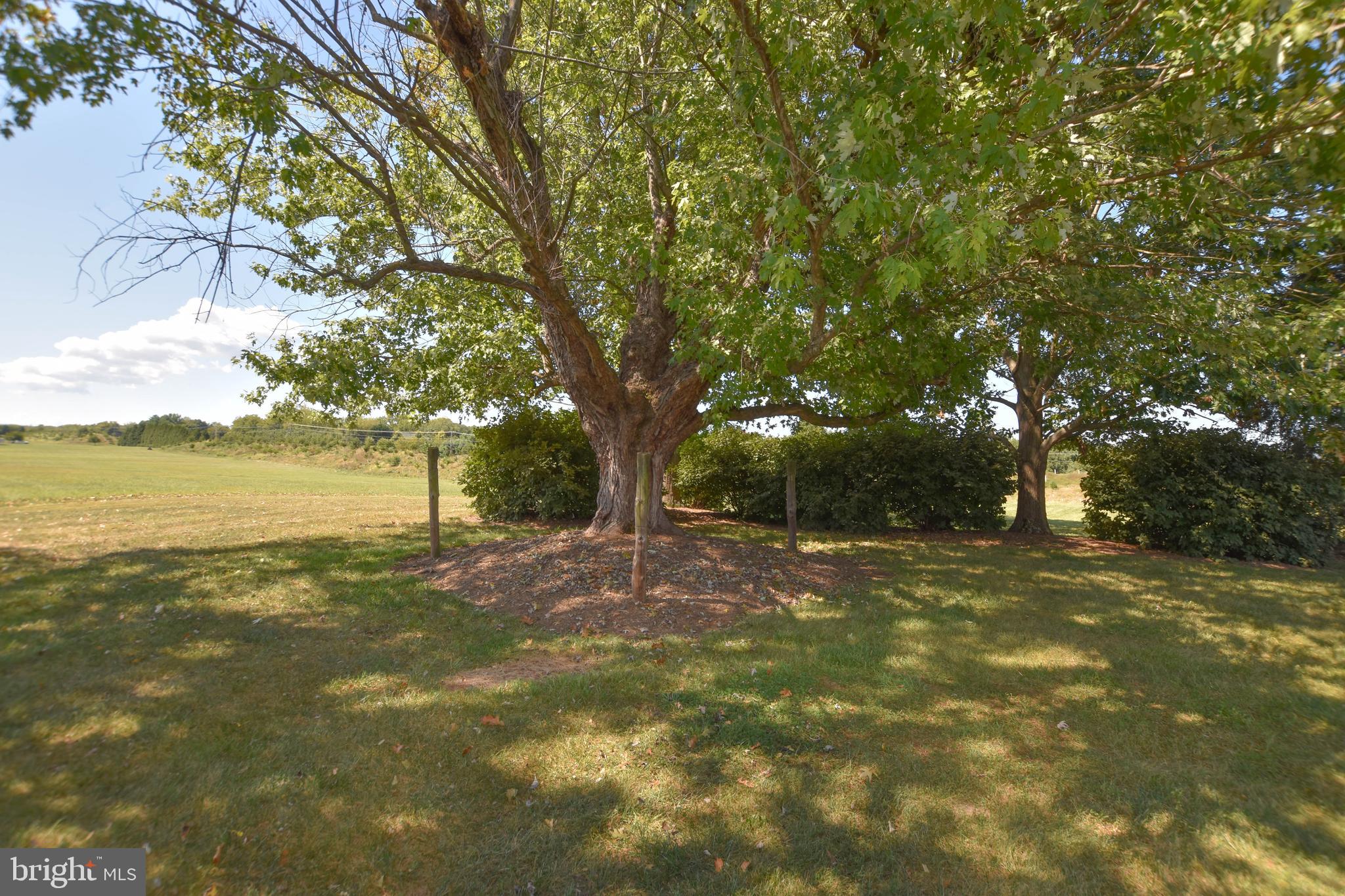 42235 GREEN MEADOW LANE