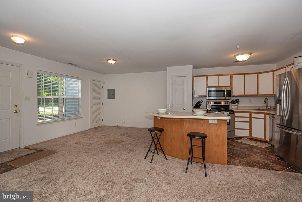 OCEAN PINES - SALT GRASS COVE - Residential