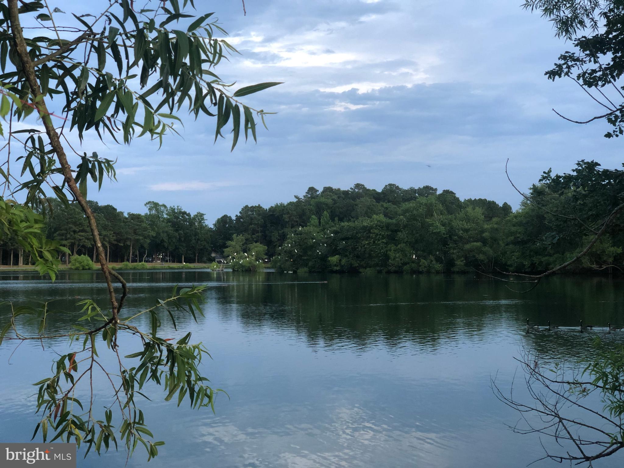 OCEAN PINES - SALT GRASS COVE - Residential